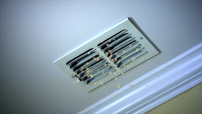 Best Dryer Vent Cleaning Services  in Old Fig Garden, CA