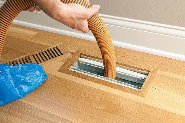 Best Affordable Air Duct Cleaning  in Old Fig Garden, CA