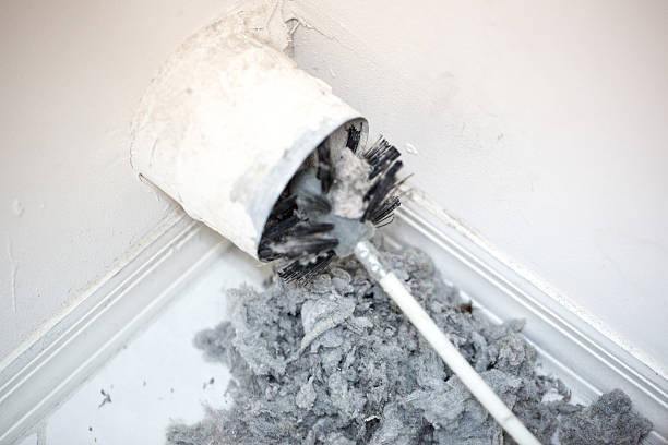 Best Air Duct Cleaning Company Near Me  in Old Fig Garden, CA